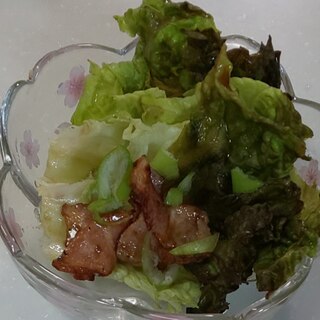 カリカリ豚肉☆ねぎのサニーレタスサラダ
